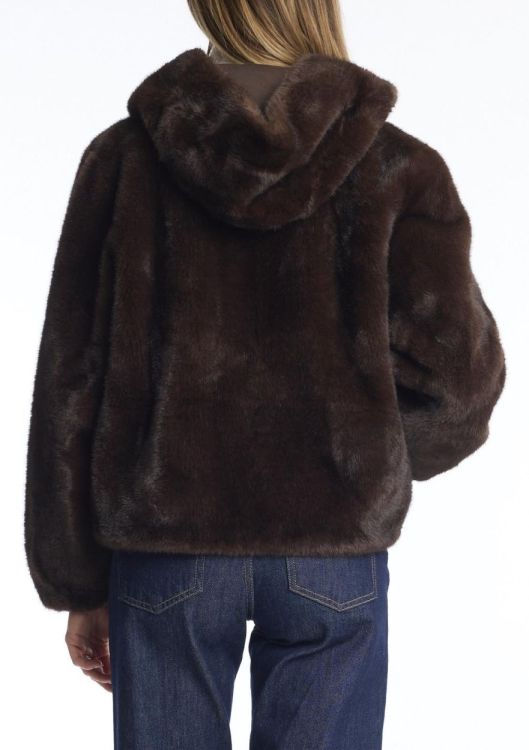 LEO & UGO Leo & Ugo Coat Brown (KH 968 Brown) - New Port