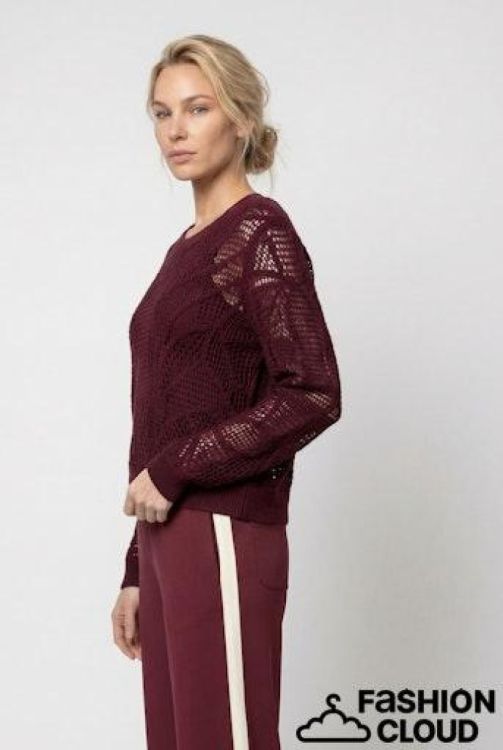 MONARI MONARI Pull  Bordo (809978/316) - New Port
