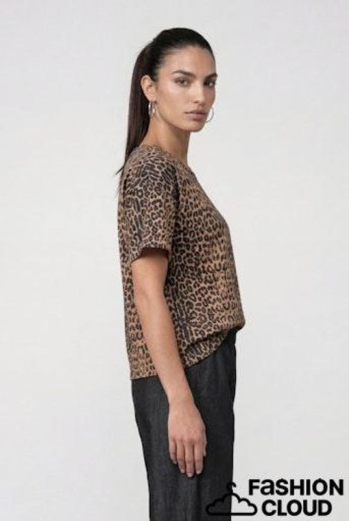 MONARI MONARI T-shirt  Print Leopard (809838/528) - New Port