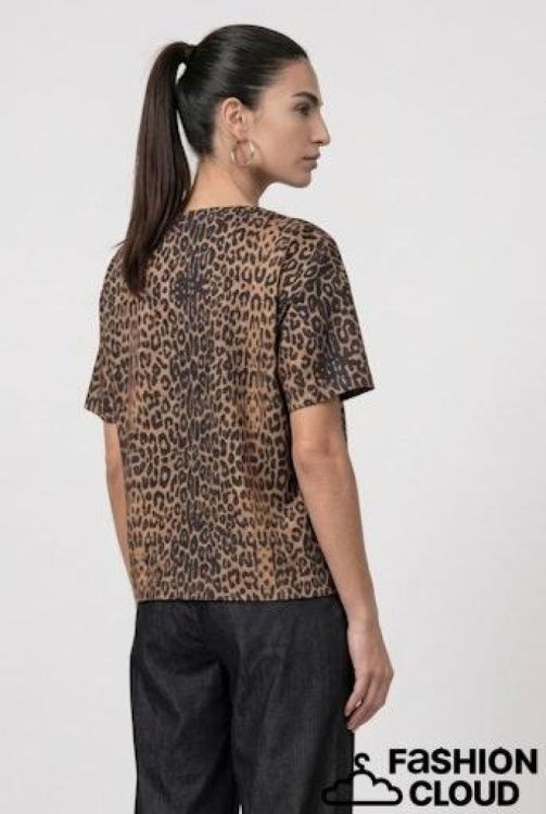 MONARI MONARI T-shirt  Print Leopard (809838/528) - New Port