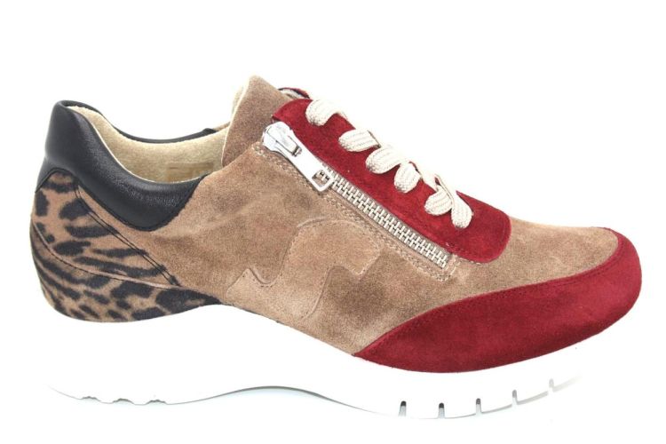 PIESANTO PIESANTO SNEAKER  ROOD-LEOPARD          (24707-22-289 G  BERRY-TAUPE LEOPARD) - New Port